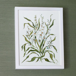 Botanical Print: Dove & Celadon
