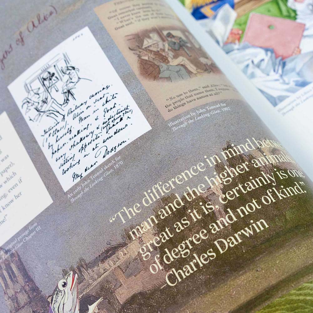 Alice in Wonderland Art Novel Collector’s Edition