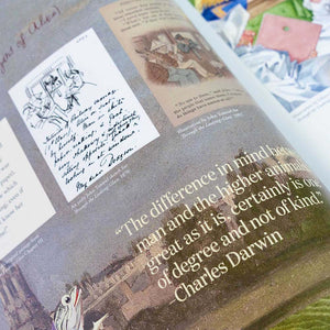 Alice in Wonderland Art Novel Collector’s Edition
