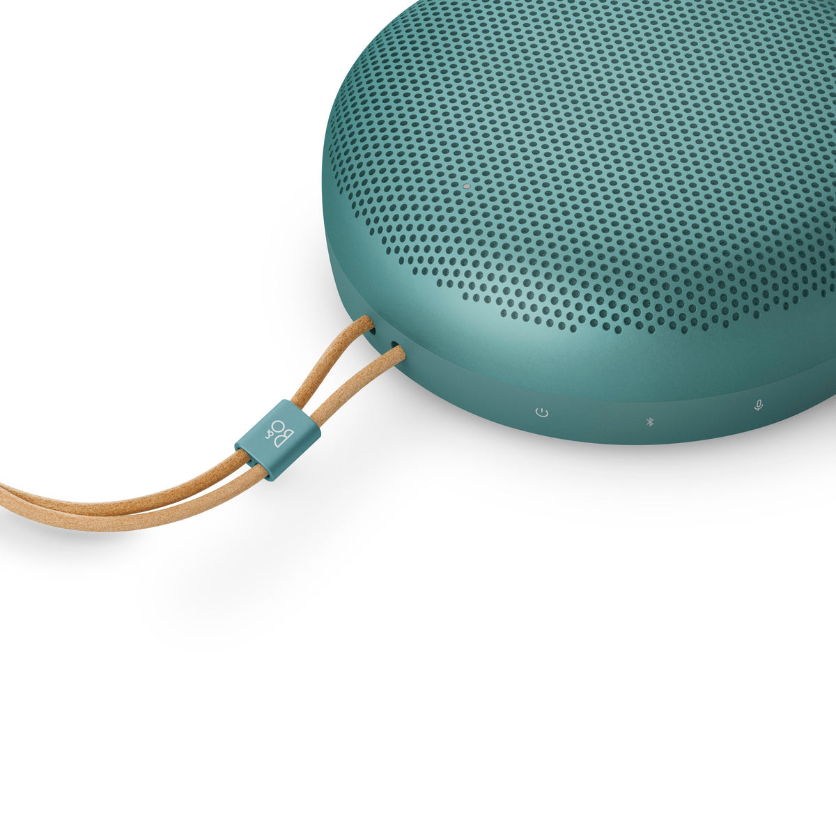 A1 Portable Bluetooth Speaker 3rd Generation in Eucalyptus Green