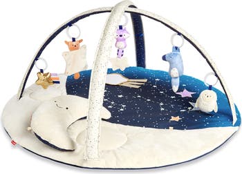Celestial Dreams Activity Gym