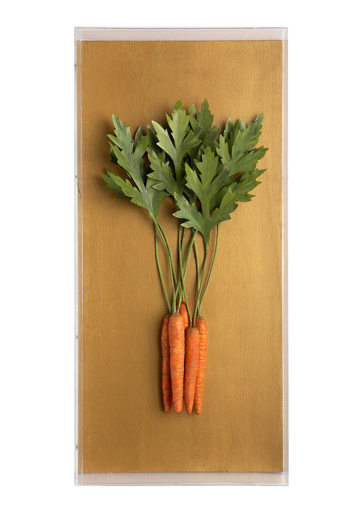 Large Vegetable Study Carrots On Gilded Linen