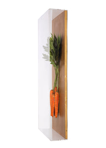 Large Vegetable Study Carrots On Gilded Linen