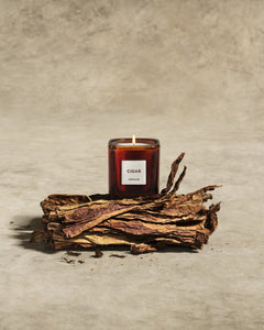 Library Candle in Cigar