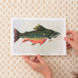 Brook Trout Print