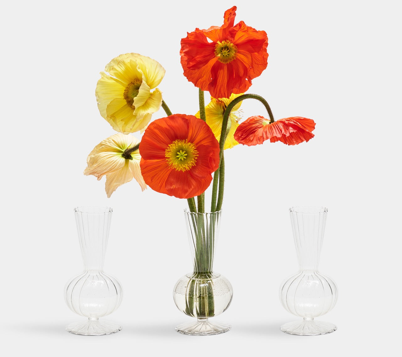 Tess Bud Vase in Clear, Set of 3
