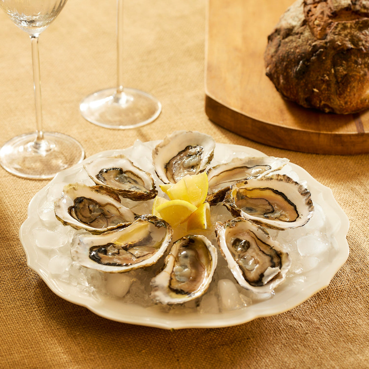 Stella Scalloped White Dinner Plate