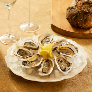 Stella Scalloped White Dinner Plate