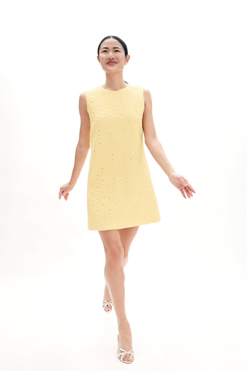 Laurel Dress in Crystal Cloque