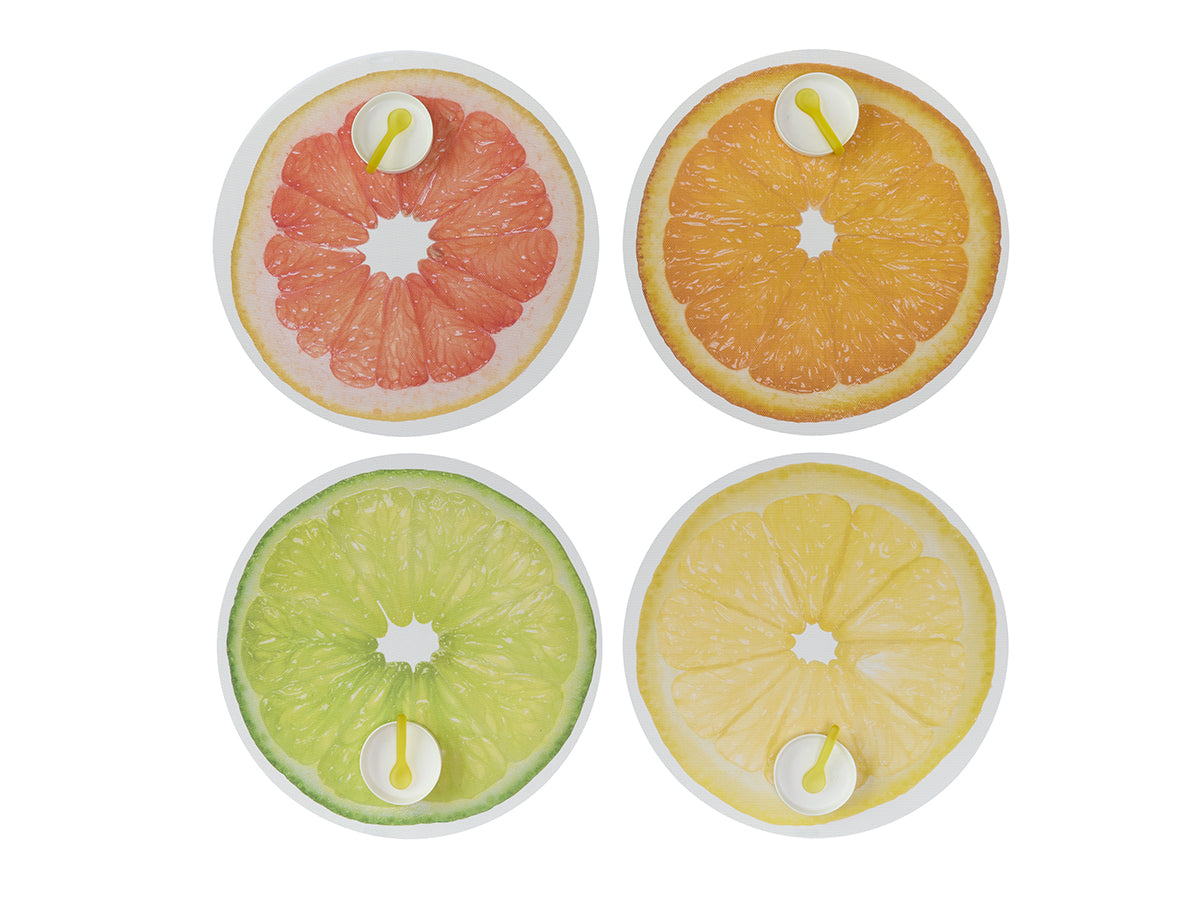 Citrus Placemat in Orange, Set of 4