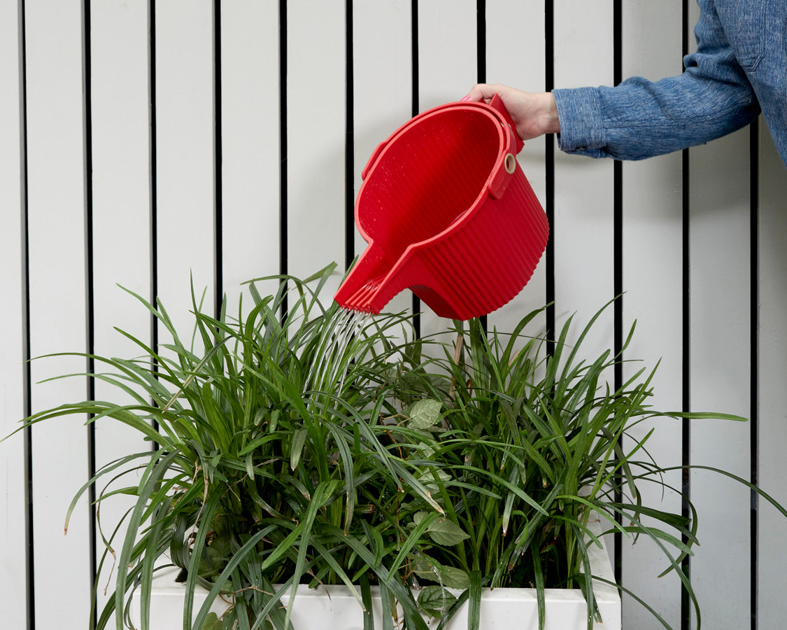 Hachiman Garden Beetle Watering Can Large in Red