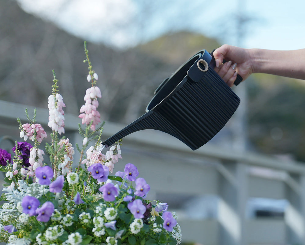 Black Hachiman Garden Beetle watering can pouring water into a planter of purple and white flowers on a balcony