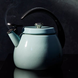 Cloche Kettle in Sea Salt