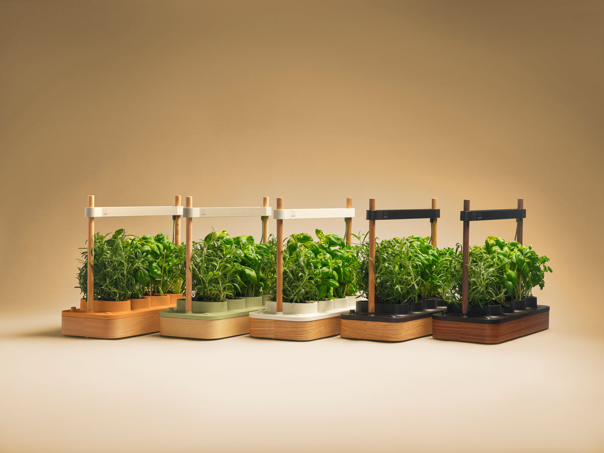 Auk Mini 2 Herb Garden in Espresso/Walnut