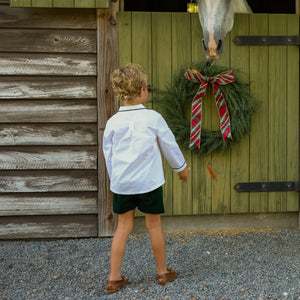 
Sullivan Shorts Set for boys in Grafton Green Velvet, featuring a white long-sleeve Peter Pan collar shirt with green piping and coordinating green velvet shorts.