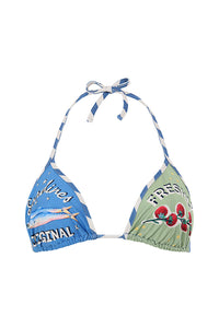 Ludovica Bikini Top in Multi