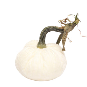 Ivory Silk Velvet Pumpkin