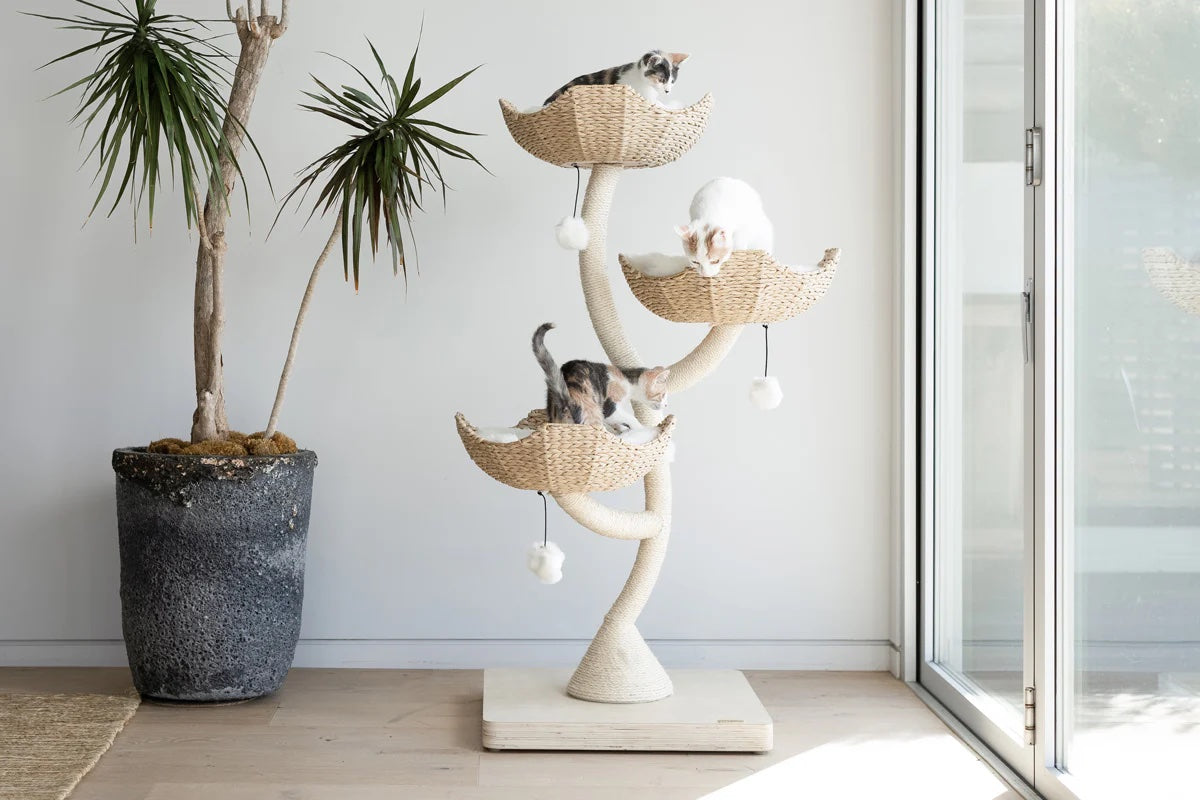 Cat Tree