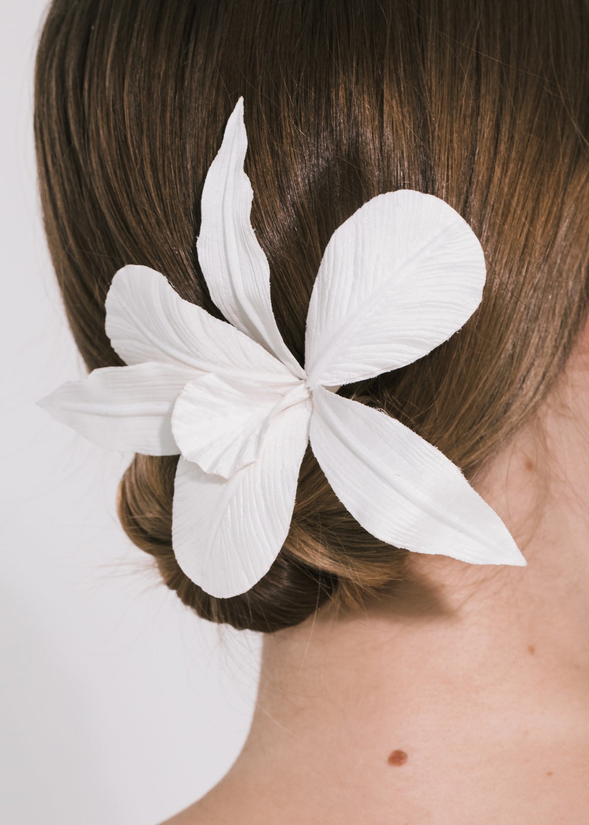 Orchid Harpin in Cream