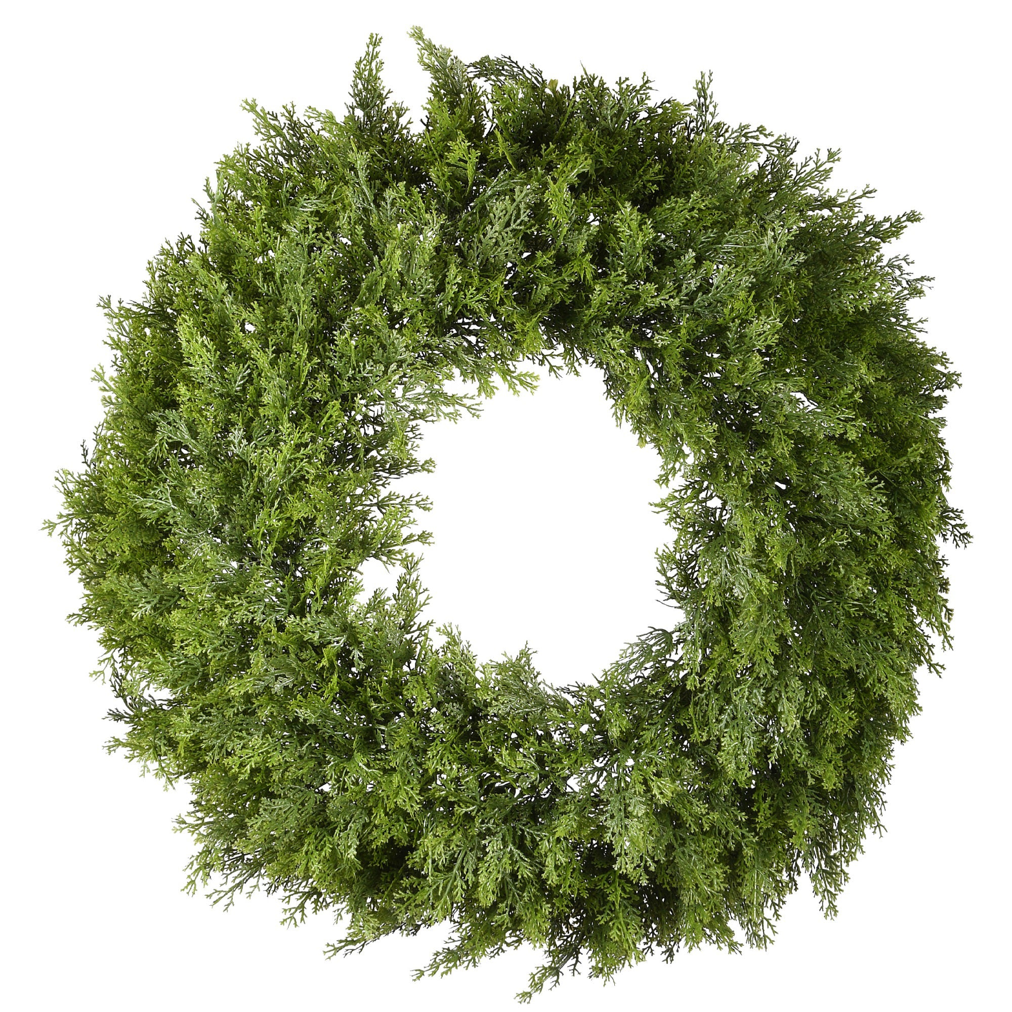 24" Arborvitae Wreath