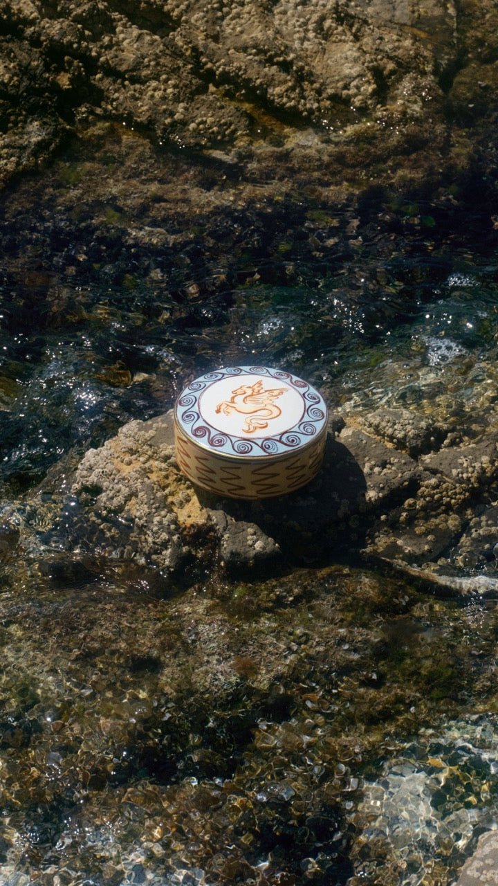 Ill Viaggio Di Nettuno Round Box with Cover in Brown & Light Blue