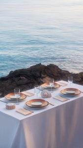 Ill Viaggio Di Nettuno Soupe Plate in Brown & Light Blue