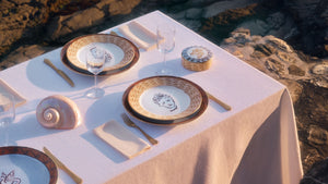 Ill Viaggio Di Nettuno Dinner Plate in Brown & Light Blue