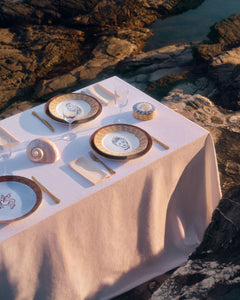 Ill Viaggio Di Nettuno Dinner Plate in Brown & Light Blue