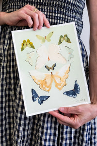 Butterfly Print: Natura No. 2