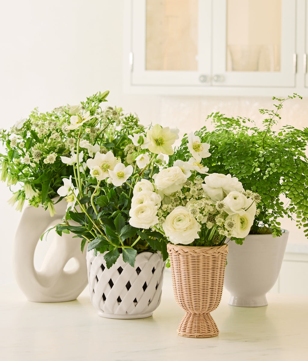 Aria Small Cachepot