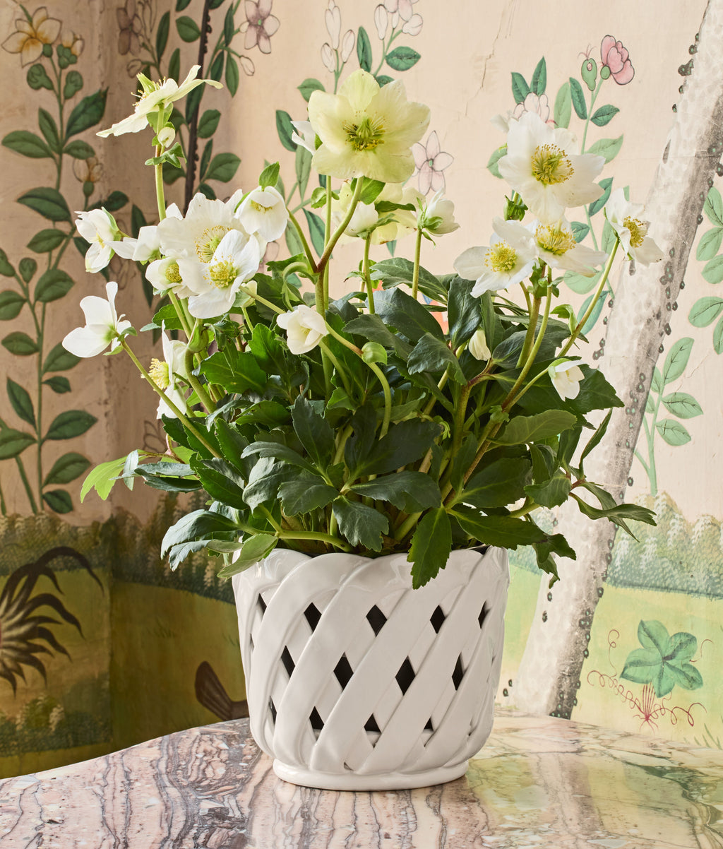 Aria Small Cachepot