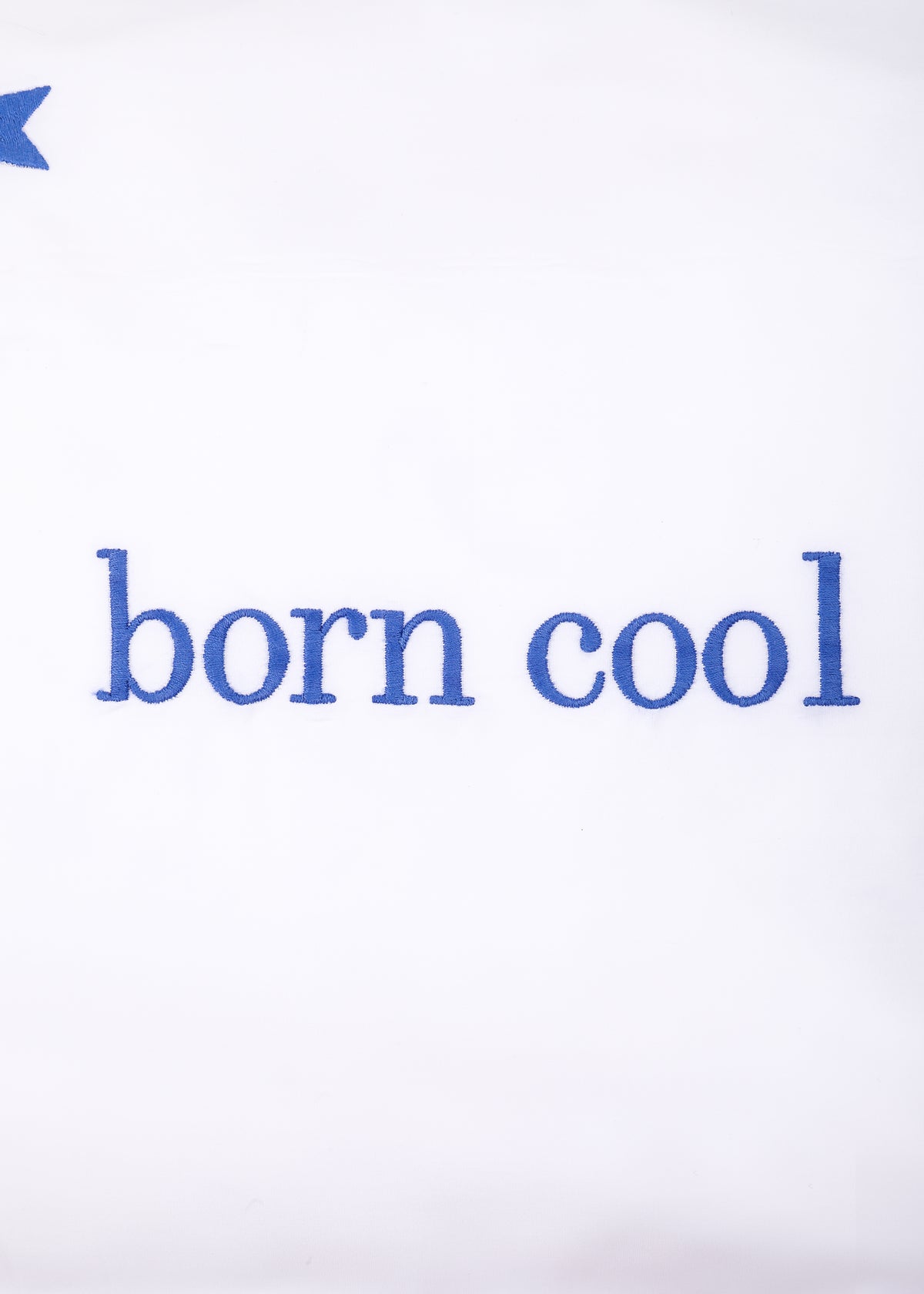 Born Cool Stars Mini Pillow in Larkspur