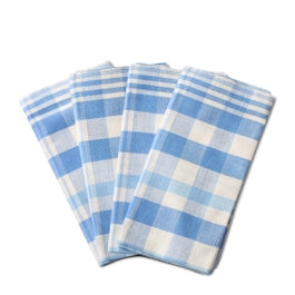 Chennai Plaid Dinner Napkin, Set of 4