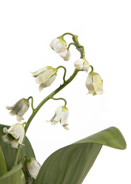 再値下げシュタイフ　Lily of the Valley Tole Flower Multi-Stem Lily Of The Valley | Over The Moon