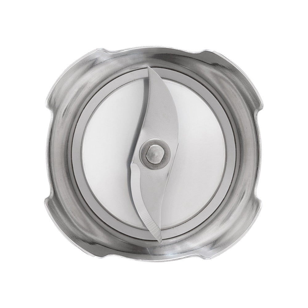 Top-down view of hand blender blade assembly showing stainless steel dual blades and metal housing on white background