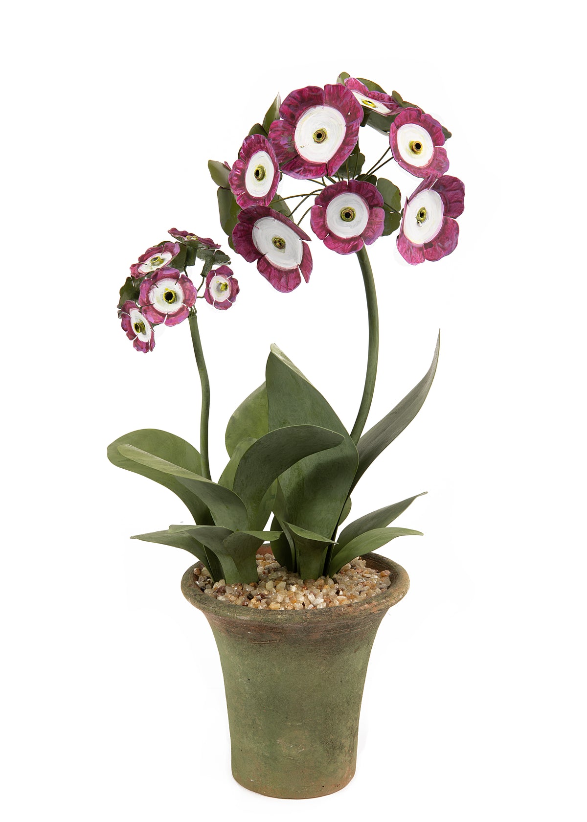 Tole Flower Standard Auricula