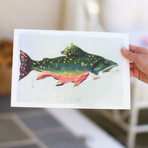 Brook Trout Print