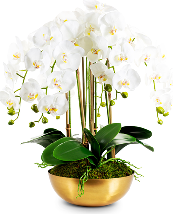 Abigail RealTouch White Orchid in Gold Bowl