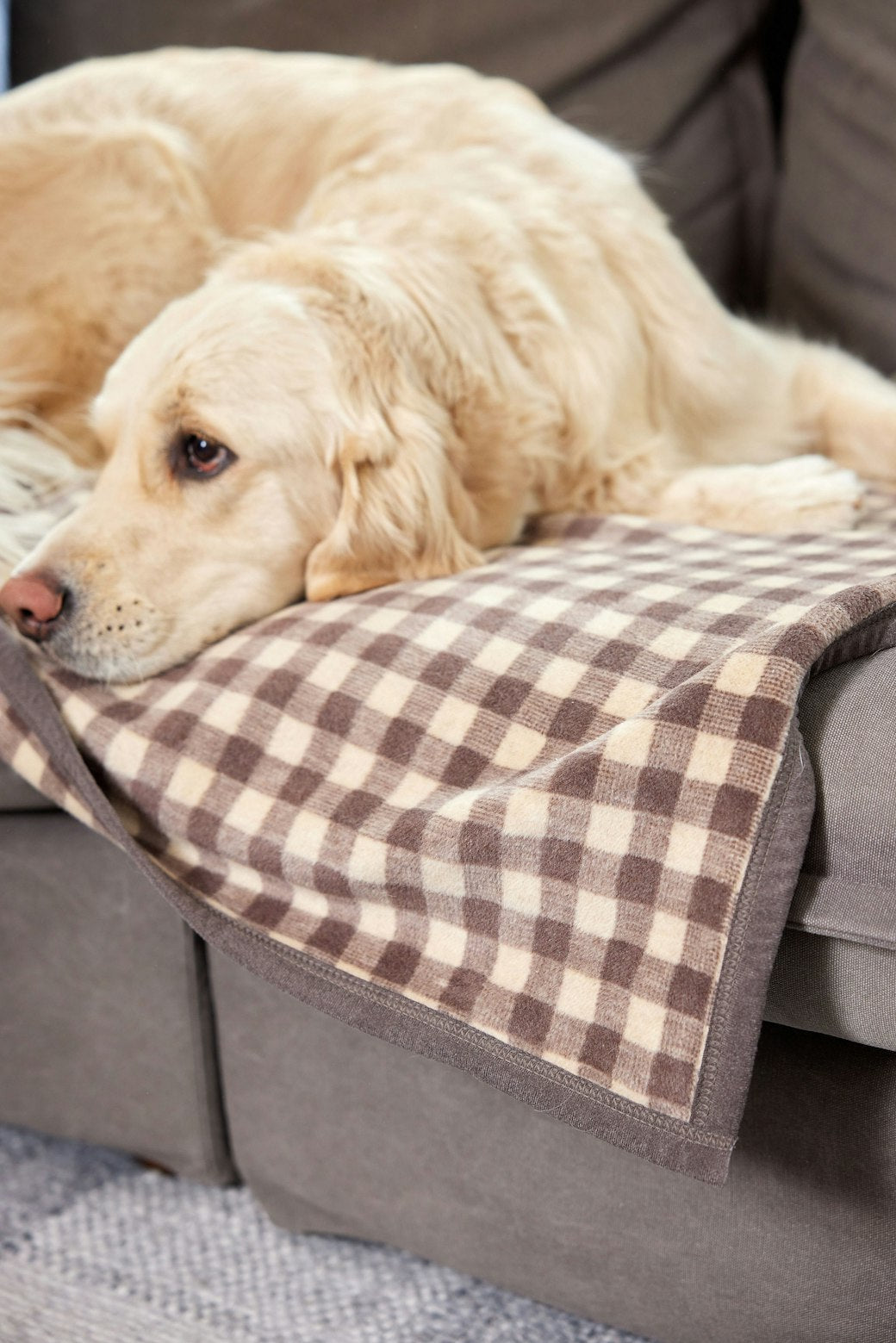 Gingham Mocha Midi Blanket