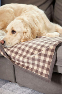 Gingham Mocha Midi Blanket
