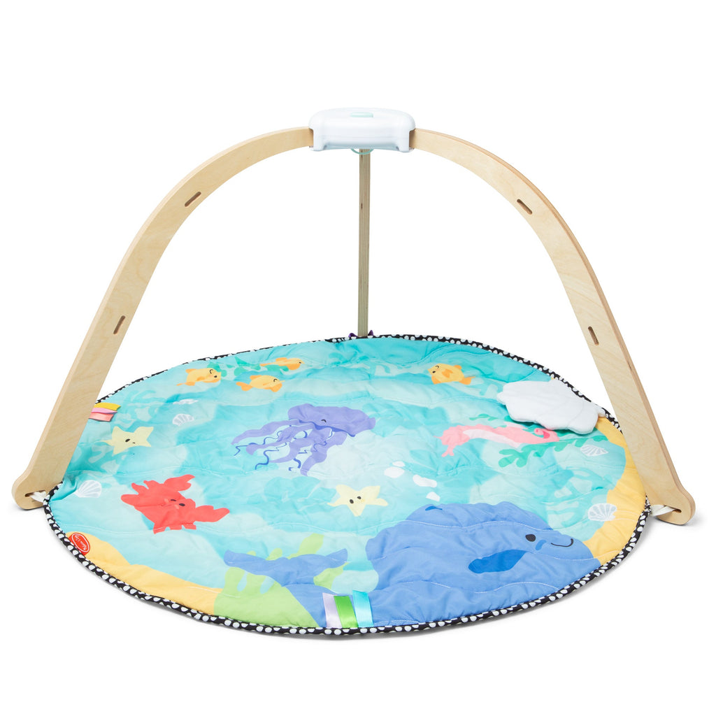 Ocean Easy-Fold Play Gym