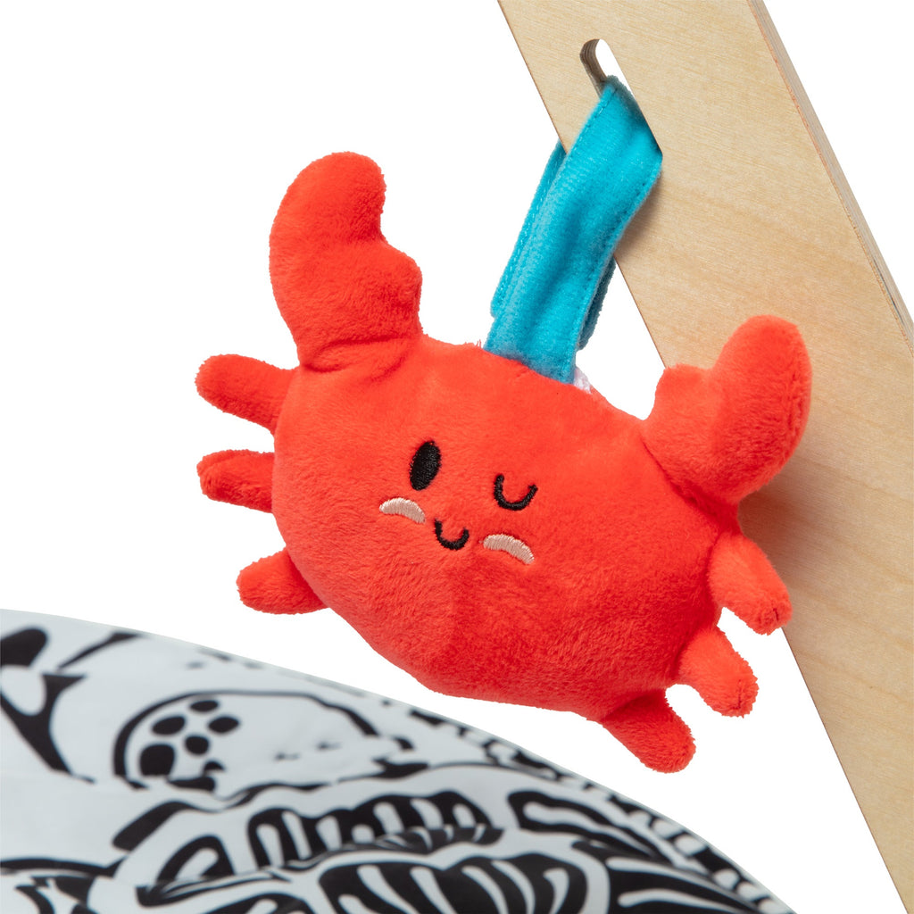 Ocean Easy-Fold Play Gym