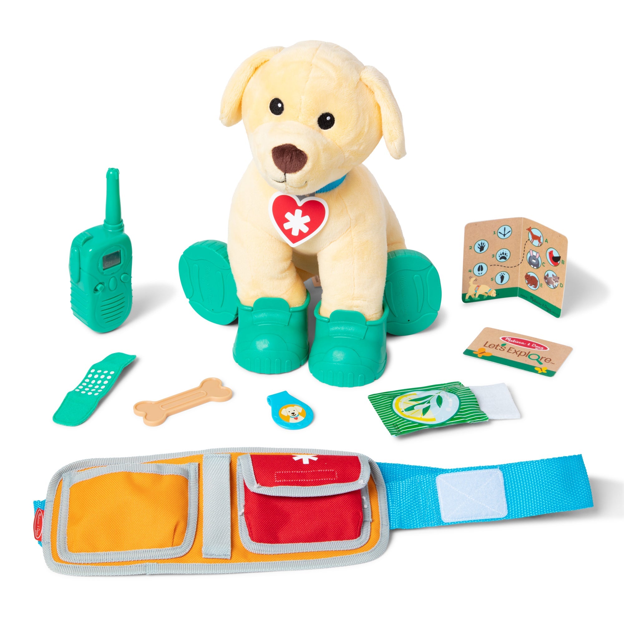 Let’s Explore Rescue Ranger Dog