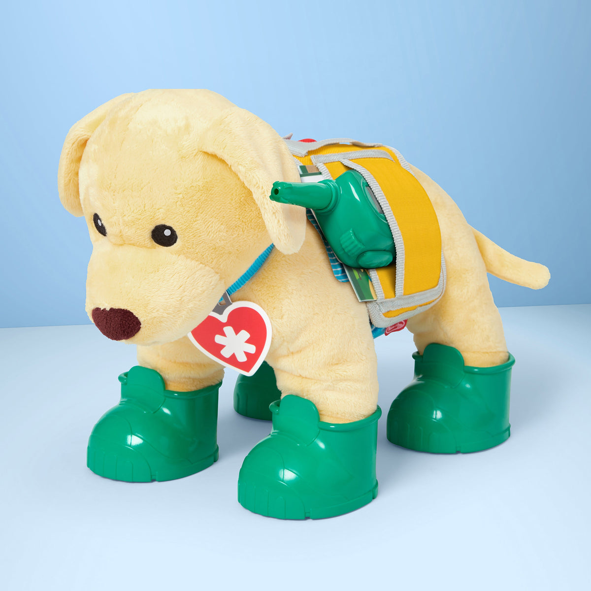 Let’s Explore Rescue Ranger Dog