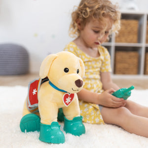 Let’s Explore Rescue Ranger Dog