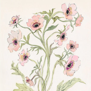 Botanical Print: Slipper & Sage