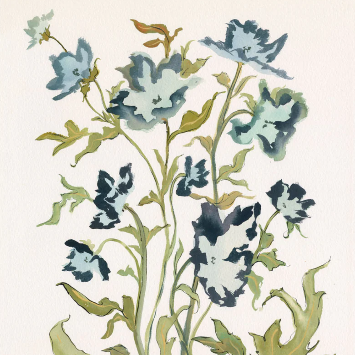 Botanical Print: Prussian Poppies