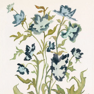 Botanical Print: Prussian Poppies