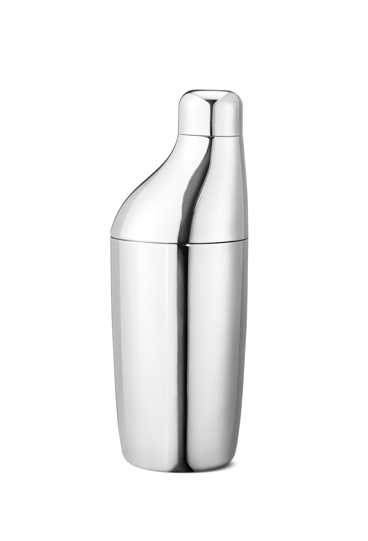 Sky Cocktail Shaker