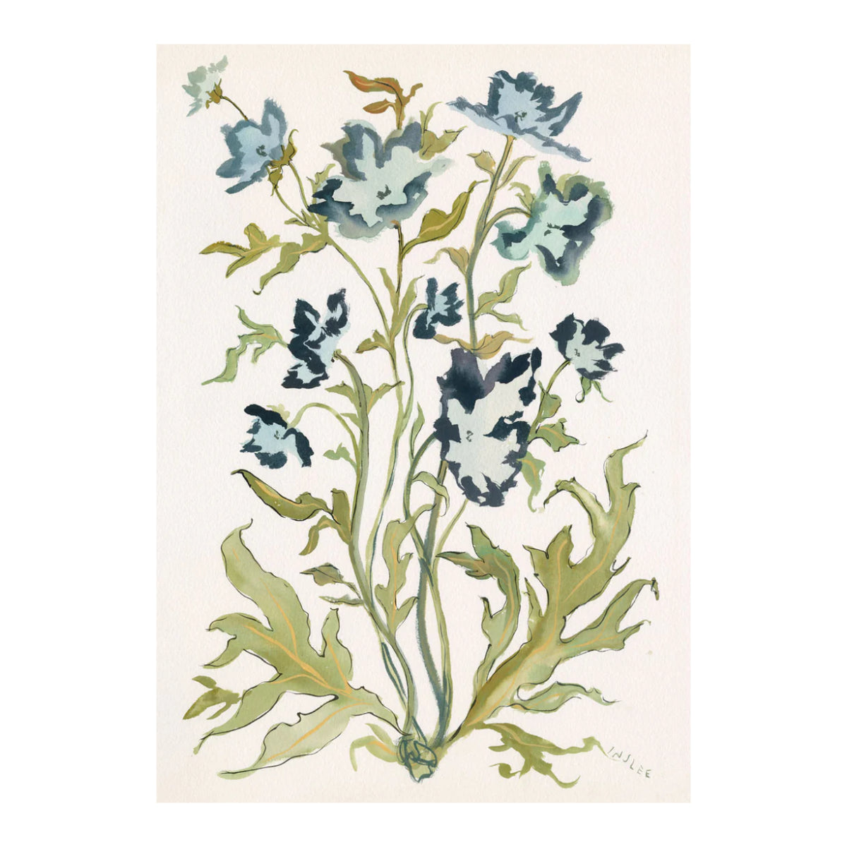 Botanical Print: Prussian Poppies